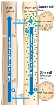 Bulk flow by positive pressure (pressure