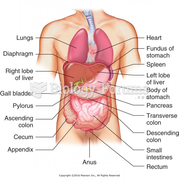 Abdominal organs. Proceed with caution during abdominal massage.