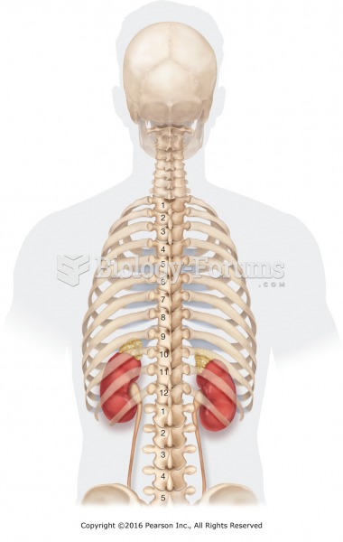Location of the kidneys-posterior view. Avoid heavy percussion over the kidneys