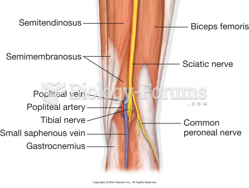 The popliteal area. Avoid heavy pressure over the back of the knee joint.