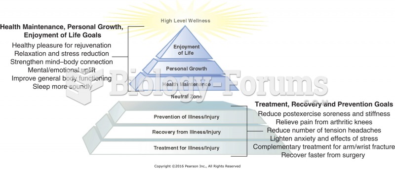 Sample client goals from the Wellness Massage Pyramid.