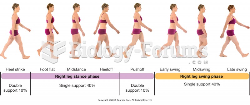 Phases of the normal walking gait.