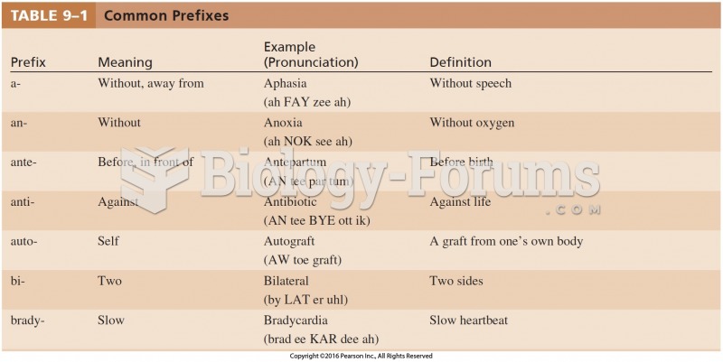 Common Prefixes