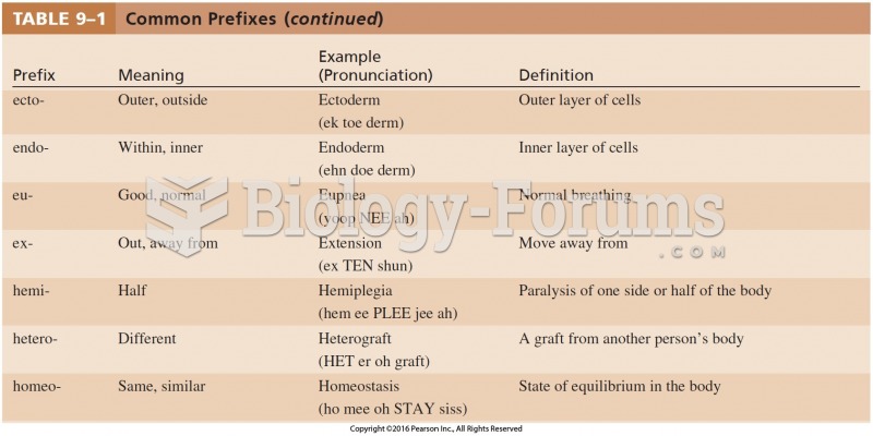 Common Prefixes Cont