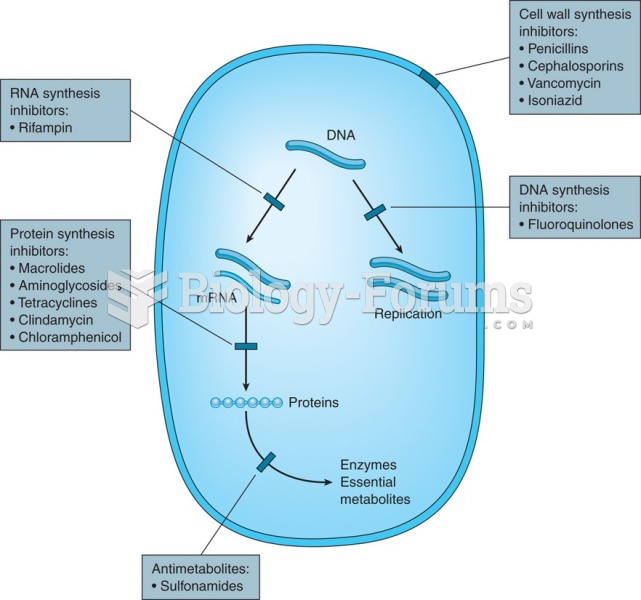 Mechanism of action of antimicrobial drugs.