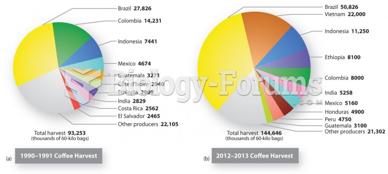 Global Coffee Production