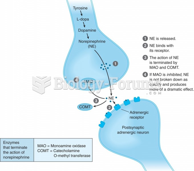 Termination of norepinephrine activity through enzyme activity in the synapse.