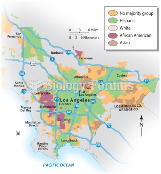 Patterns of Ethnicity