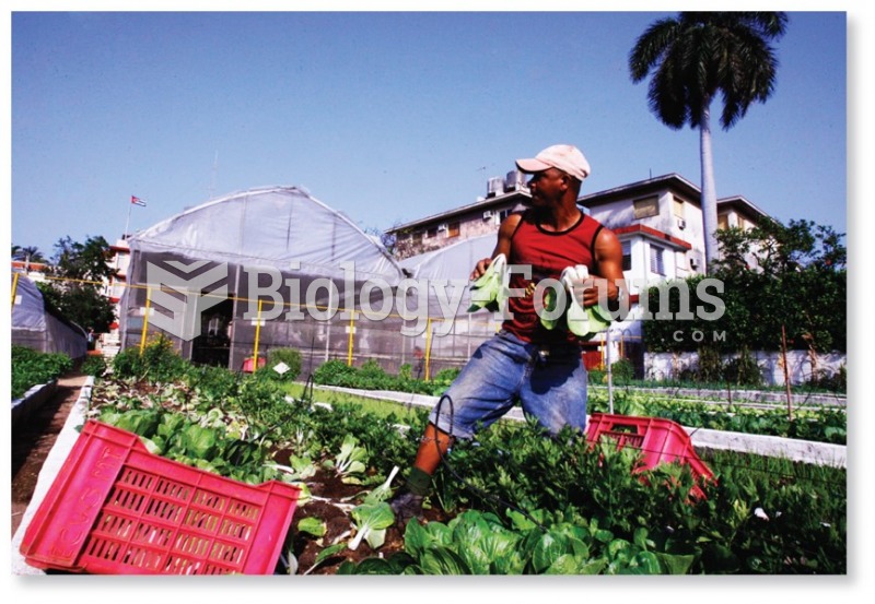 Urban Agriculture in Havana