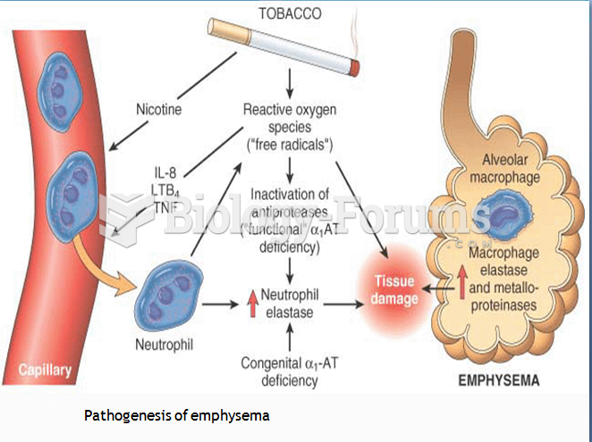 Smoking and emphysema pathogenesis