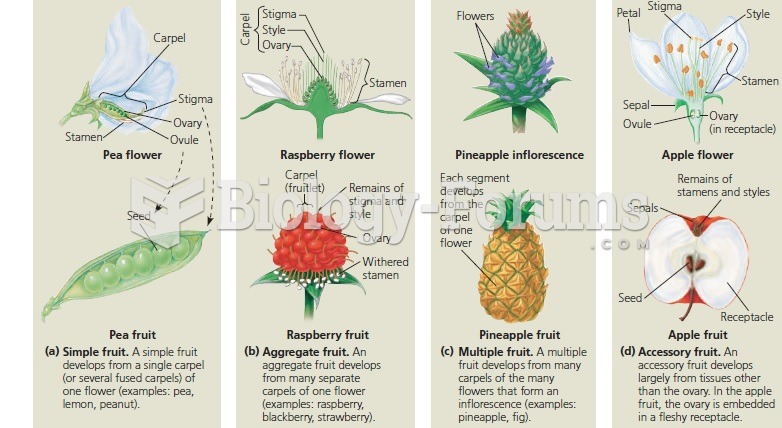 Developmental origin of different classes of fruits.