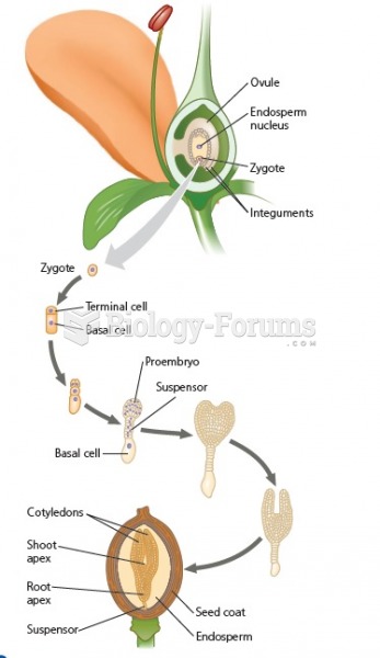 The development of a eudicot plant embryo.