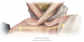Stand facing the side of the table and apply cross-handed stretches for the subcutaneous fascia. ...