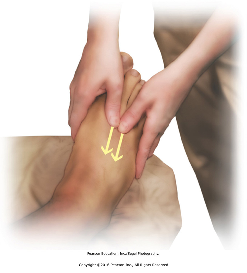 Effleurage between the metatarsals using the thumb or fingers. Slide between the metatarsals oneby- ...