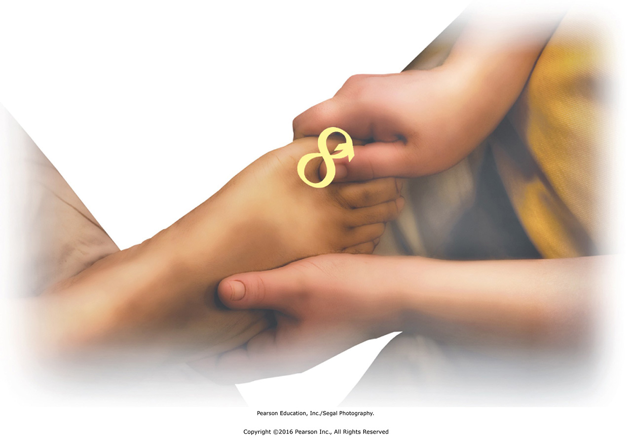 Mobilize each metatarsal–phalangeal joint with figure-8s. Hold the tarsal just below the ...