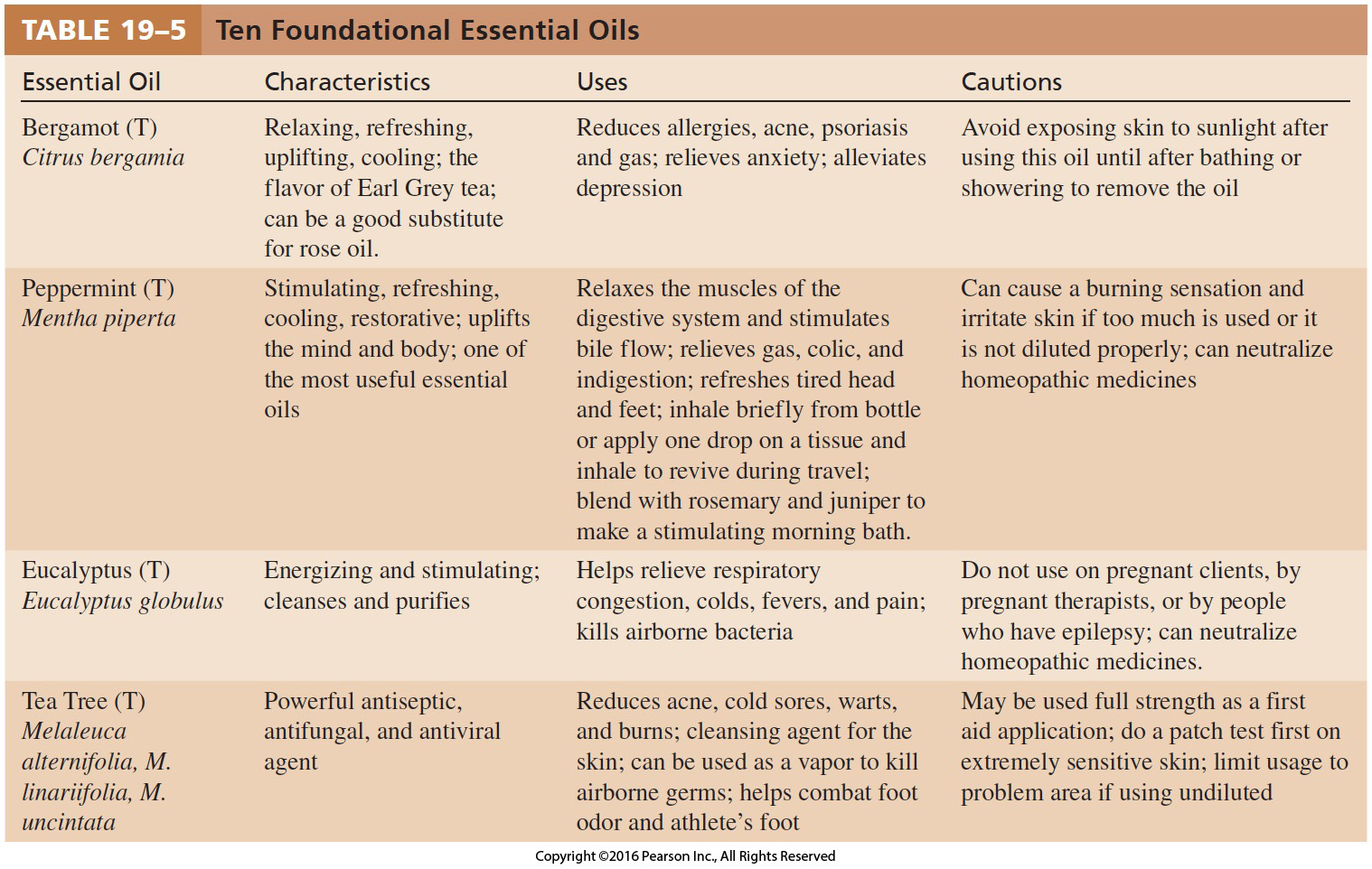 Ten Foundational Essential Oils