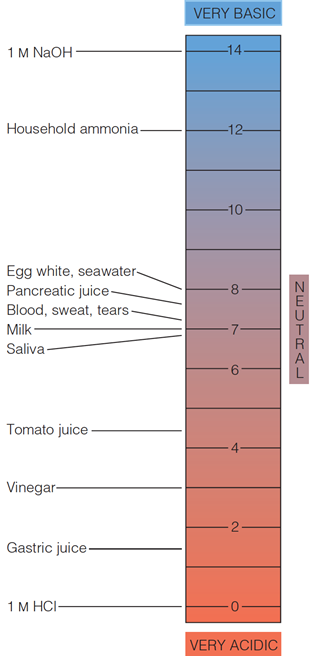 pH Scale - Weak Acid and their conjugate Base