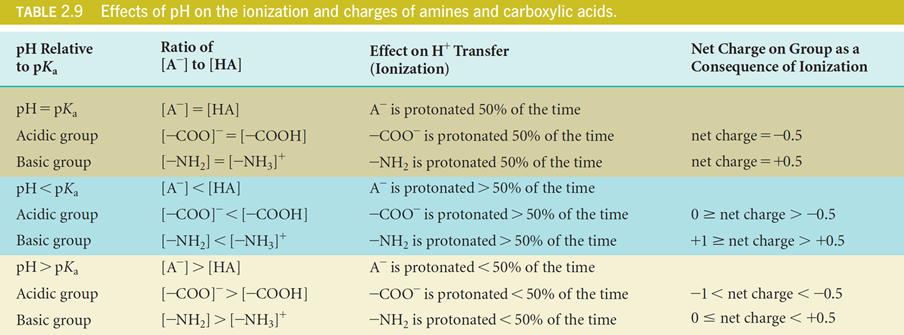 effect of pH on ionization and charges of amines and carboxylic acid