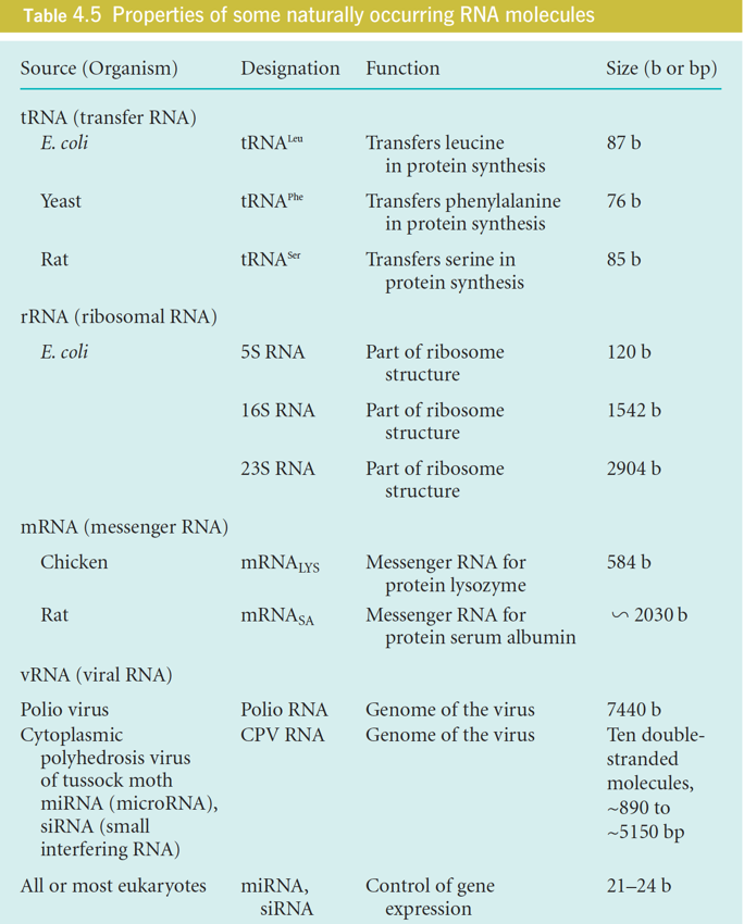 Properties of some naturally occurring RNA molecules