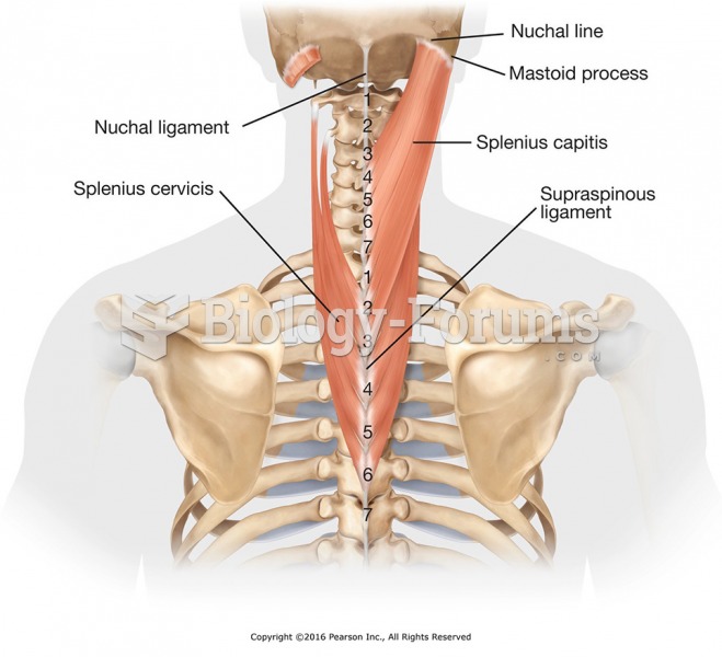 Deep muscles of the posterior neck; splenius capitis and cervicis attachments.