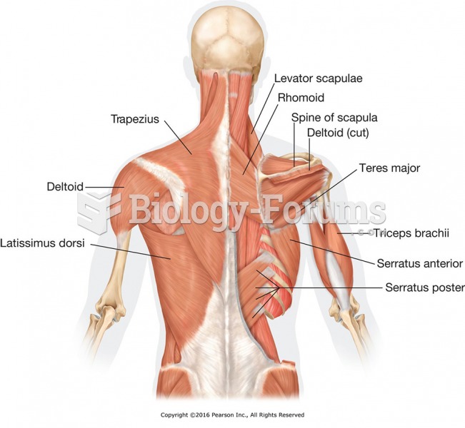 Major back and shoulder muscles.