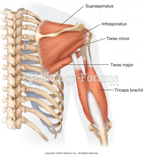 Rotator cuff muscles of the shoulder.