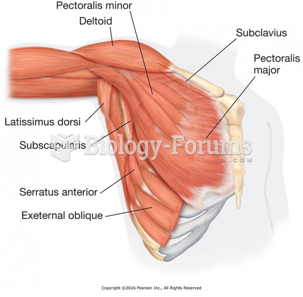 Major muscles of the chest.