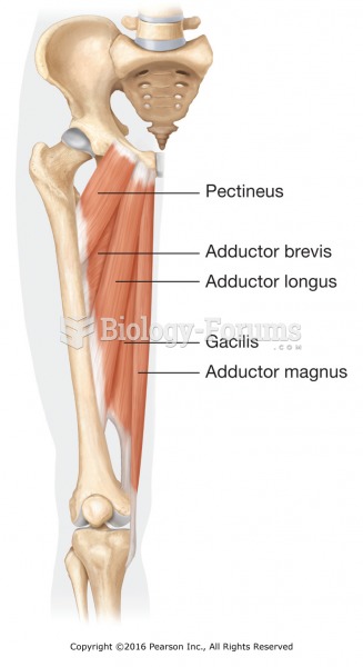 Adductor muscles of the medial thigh.