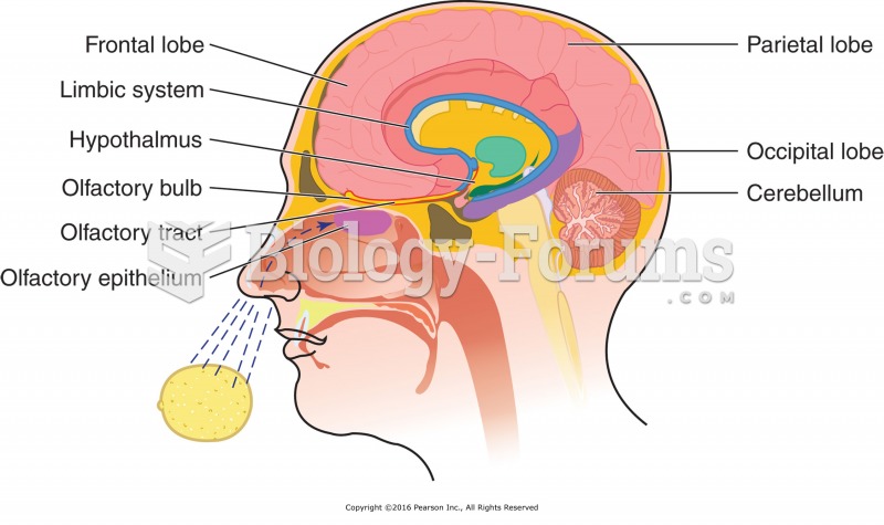 The limbic system is located within the higher brain, or cerebrum.