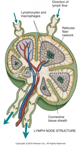 Lymph node structure.