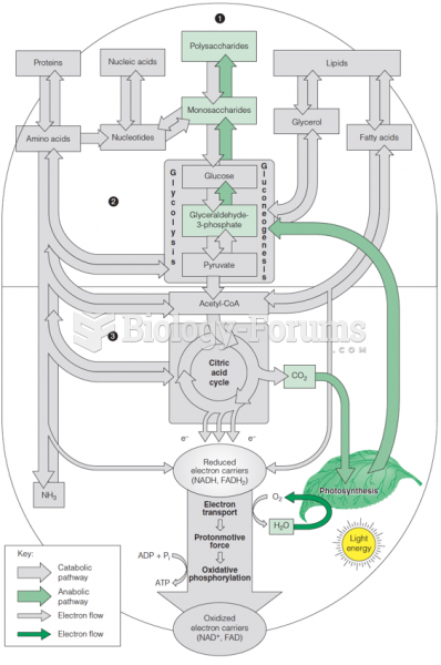 The role of photosynthesis in metabolism