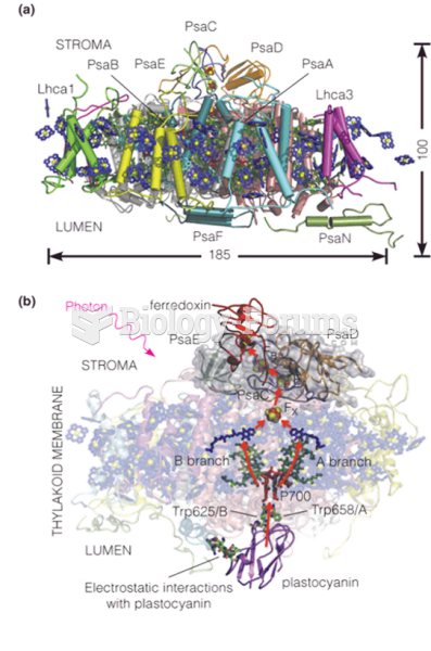 The structure of plant photosystem I