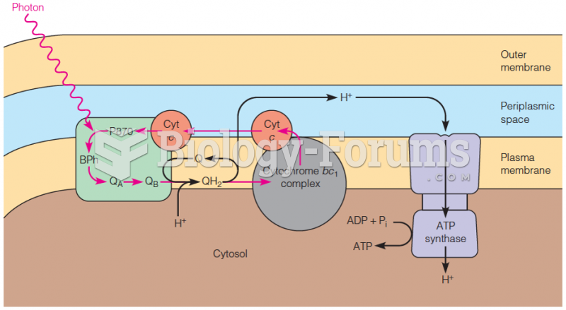 Postulated mechanism for purple bacterial photosynthesis