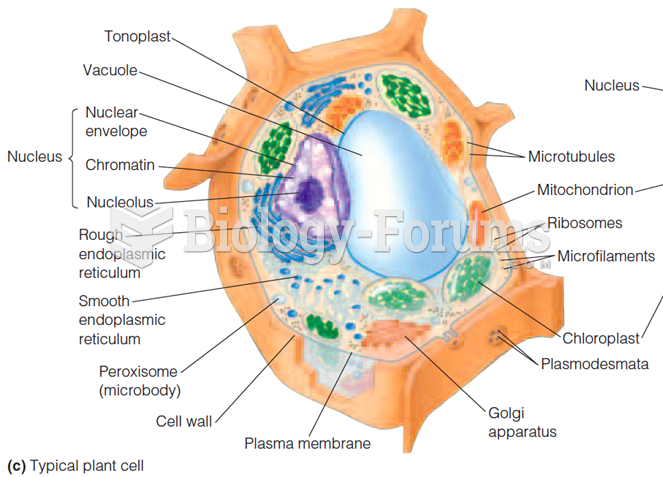 Plant Cell