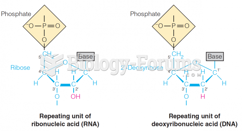 Repeating Units of DNA and RNA