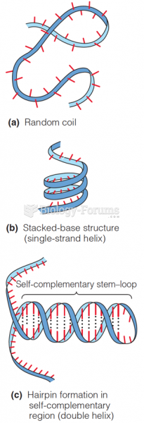 Conformations of single-stranded nucleic acids