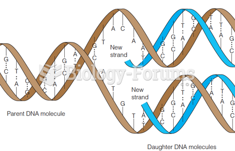 replication of DNA 