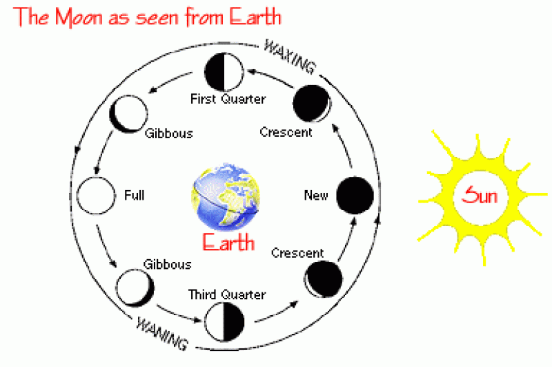 Moon Phases