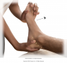 Inside ankle press. Place the heel of your left hand on the ball of the recipient’s right foot, ...