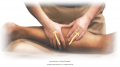 Two-handed kneading to lower leg muscles. Knead the belly of the calf muscles using two hands ...