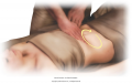With your fingertips, using medium pressure, trace the colon over the abdomen. Move in clockwise ...