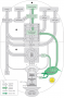 The role of photosynthesis in metabolism