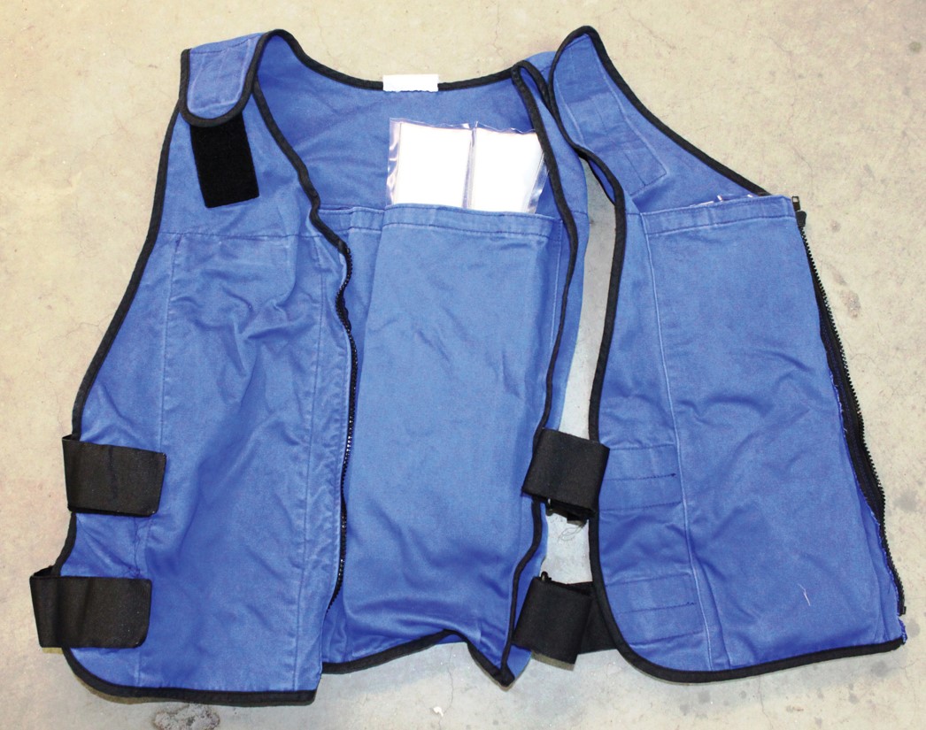 A heat exchange vest that uses ice packs for cooling