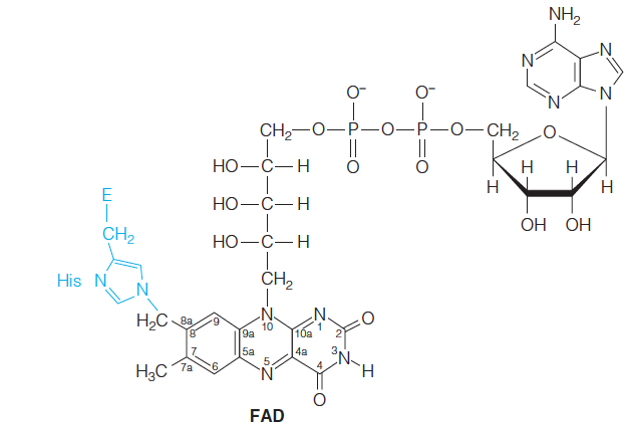 Oxidant FAD