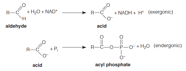 Endergonic reaction