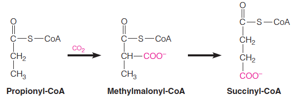 Three-carbon acyl-CoA