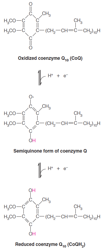 cytochrome Q