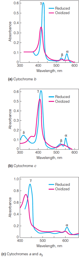 Absorption spectra of cytochromes