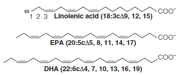 Polyunsaturated fat (PUFA)