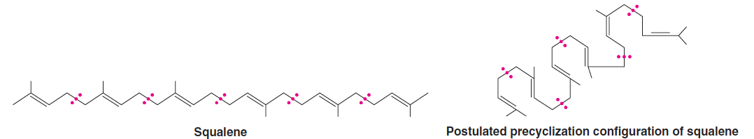 Squalene